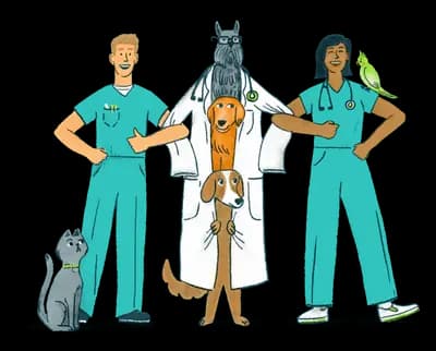 Illustration of two veterinarians with arms linked, standing with a cat, dog, and bird